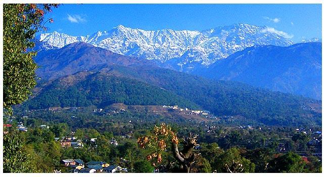Angel'S Inn Resort Dharamshala Dış mekan fotoğraf